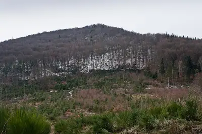 הגבעה המיוערת של אופידום Châtelard ב-Courzieu