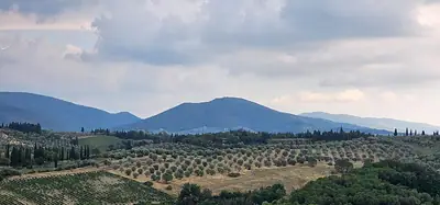גבעות Monte Colegale בשטח עיריית אימפרונטה