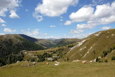 נוף ב-Nockberge, לא רחוק מ-Zedlitzdorf